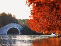 -上海海湾国家森林公园