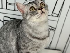 -白夜2D咖啡馆