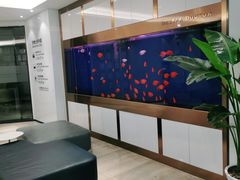 -牙博士口腔品牌连锁(杨浦店)