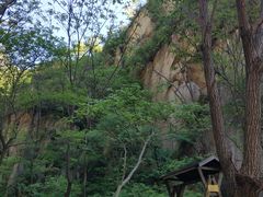 -大岭沟猕猴桃谷风景区