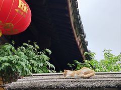 -龙华寺
