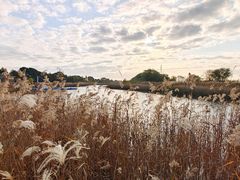 -苏州太湖国际高尔夫俱乐部