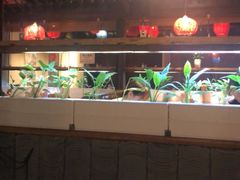 -望京一号·重庆江湖菜(工体店)