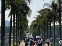 -南宁南湖公园
