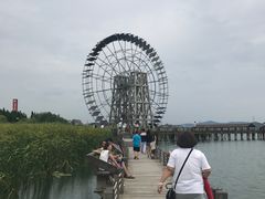 -太湖湖滨国家湿地公园-停车场
