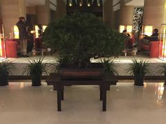大堂-真爱年华水疗健康运动中心(朱雀大街店)