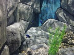 -临沂极地海洋王国