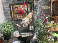-悦真雅院·四合院·清真私房菜(雍和宫店)