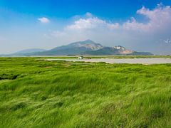 -鄱阳湖国家湿地公园