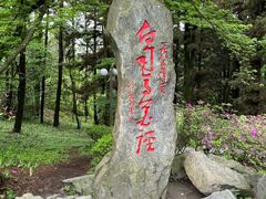 -庐山风景区花径公园