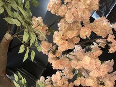 -城墙拐拐火锅(三峡广场黑金冠店)