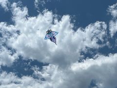 -白河湾生态旅游一条川