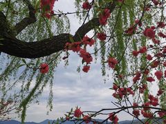 -西湖天地