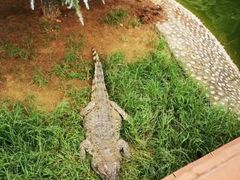 -石家庄市动物园