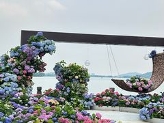 -无锡蠡湖国家湿地公园-蠡园