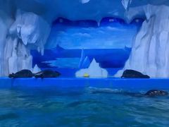 -多彩贵州城极地海洋世界