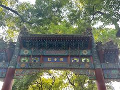 -北京国子监胡同
