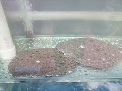 -雅逸居海鲜小厨