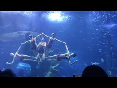 -多彩贵州城极地海洋世界