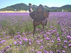 -西海岸生态观光园