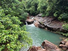 -广州白江湖森林公园