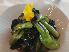 -上海总会SHANGHAICLUB(兴业太古汇店)