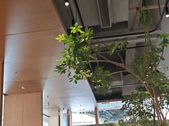 -gaga(深圳福田星河COCO Park店)