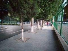 -东北大学(秦皇岛分校)