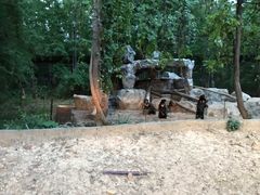 -清迈夜间动物园