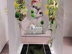 -深圳国际园林花卉博览园