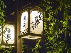 -西苑公园
