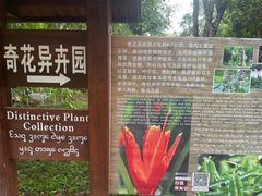 -中国科学院西双版纳热带植物园