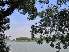 -东湖落雁景区