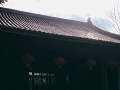 -天目湖山水园