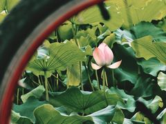 -四川大学(华西校区)