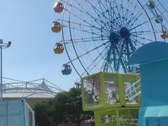 -巨鹏飞梦幻海岸