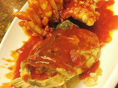 红珊瑚桂鱼-楚灶王(徐东店)