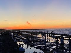 -南汇新城海滩