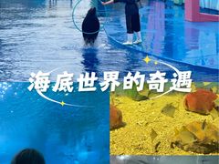 -北戴河圣蓝海洋公园
