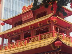-越秀西湖花市(广州城市广场花卉店)