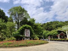 -广州白江湖森林公园