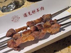 红柳枝烤羊肉串-红柳枝滩羊烧烤·非遗