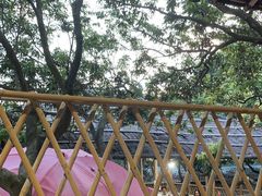 -满記土窑烧鷄波浪山莊