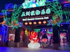 -南宫五洲植物乐园