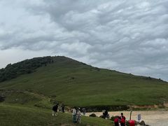 -大姆山草场