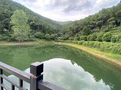 -九龙潭景区