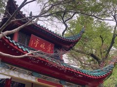 -霸王茶姬(正佳广场店)