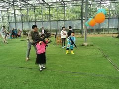 -前小桔亲子创意农场·草莓采摘·露营烧烤