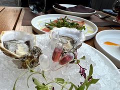 法国吉拉多生蚝-Solo(衡山路店)