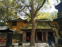 -白马涧龙池景区